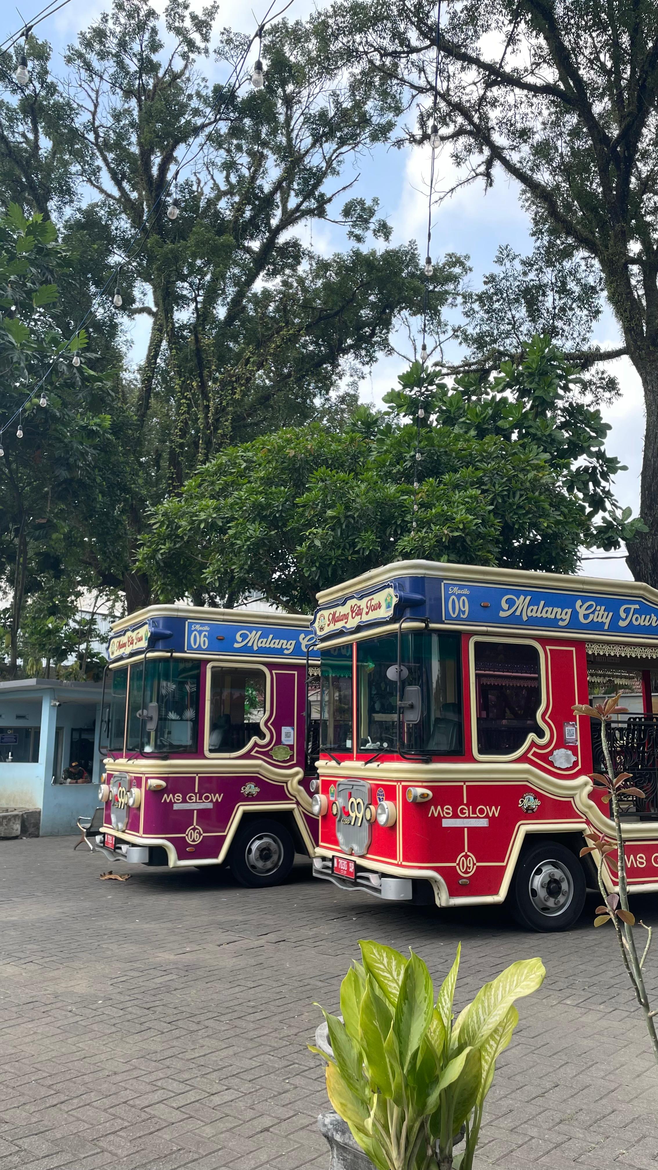 Dari Transportasi Wisata hingga Ikon Kota, Begini Perjalanan Macito