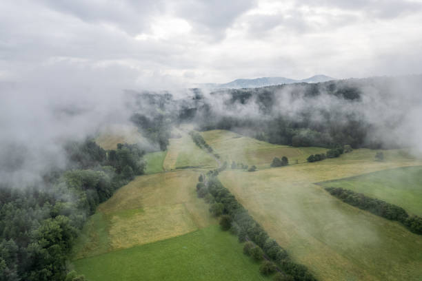 Prakiraan Cuaca 19 November: Hujan Merata dan Kabut Tipis Selimuti Malang Raya 