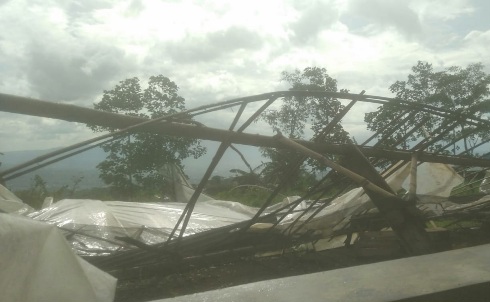 Puting Beliung di Gangsiran Puthuk Rusak Rumah, Green House, dan Tiang Listrik