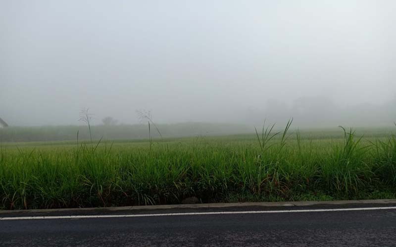 Prakiraan Cuaca Kepanjen Hari Ini: Prediksi Pagi Cerah Berawan, Siang Cerah, Malam Udara Kabur