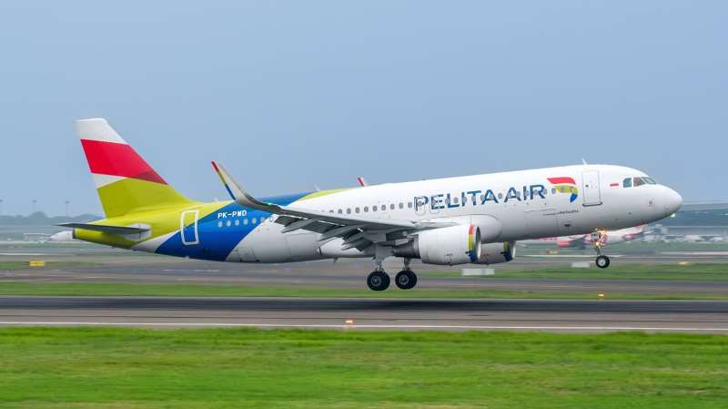 Promo Tiket Pelita Air Diskon 45 Persen, Cek Rute, Periode Terbang dan Cara Belinya