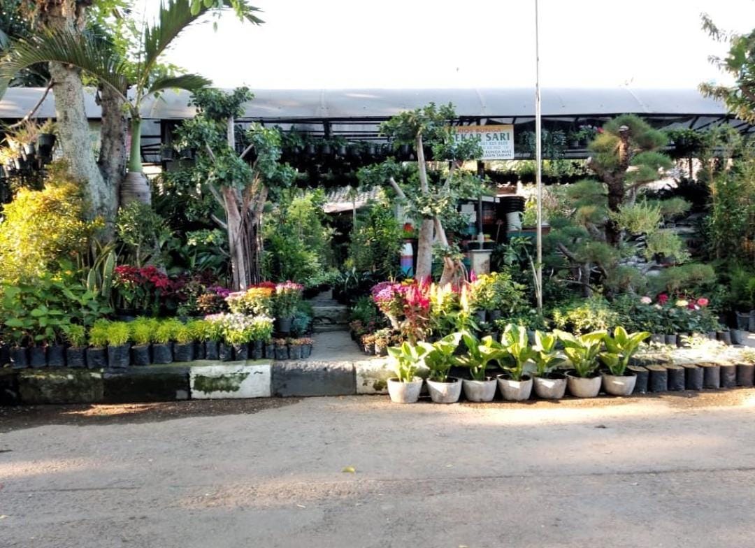 Nurochman Ingin Pasar Bunga Sidomulyo Disentralisasi, Jalan Bukit Berbunga Jadi Destinasi Wisata