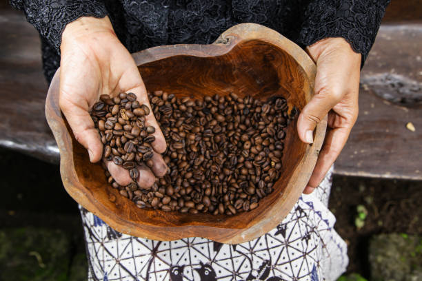 Kopi Kintamani: Cita Rasa Bali yang Lahir dari Tanah Vulkanik dan Tradisi Subak