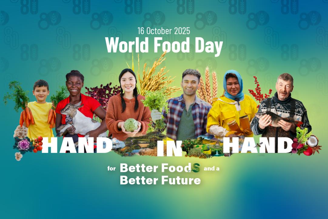 16 Oktober Juga Hari Pangan Sedunia, MBG Kita Apakah Sudah Sesuai dengan Tema Better Food for Better Future?