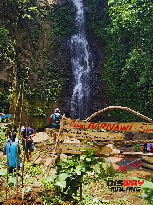 7 Coban dan Hutan Pinus di Jabung Malang, Surga Wisata Alam yang Masih Tersembunyi