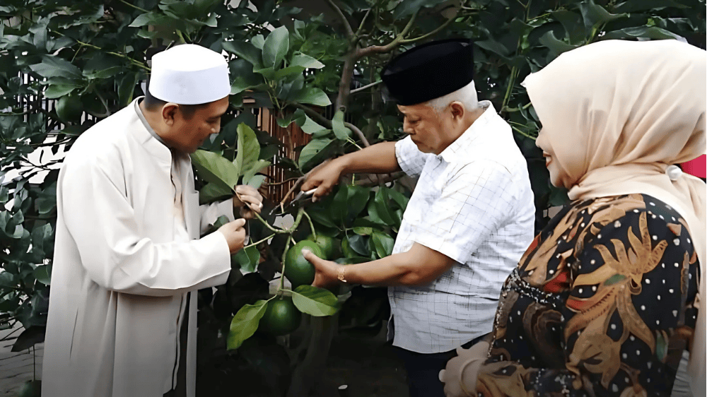 Bupati dan Wakil Bupati Malang Panen Alpukat Berkualitas Ekspor di Zalfa Hills