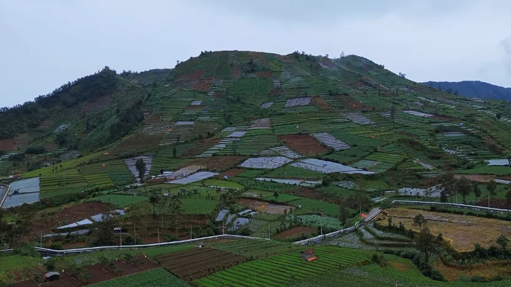 Dieng Berkabut dan Diguyur Hujan, Perjalanan Temanggung-Dieng Justru Sajikan Panorama Memukau