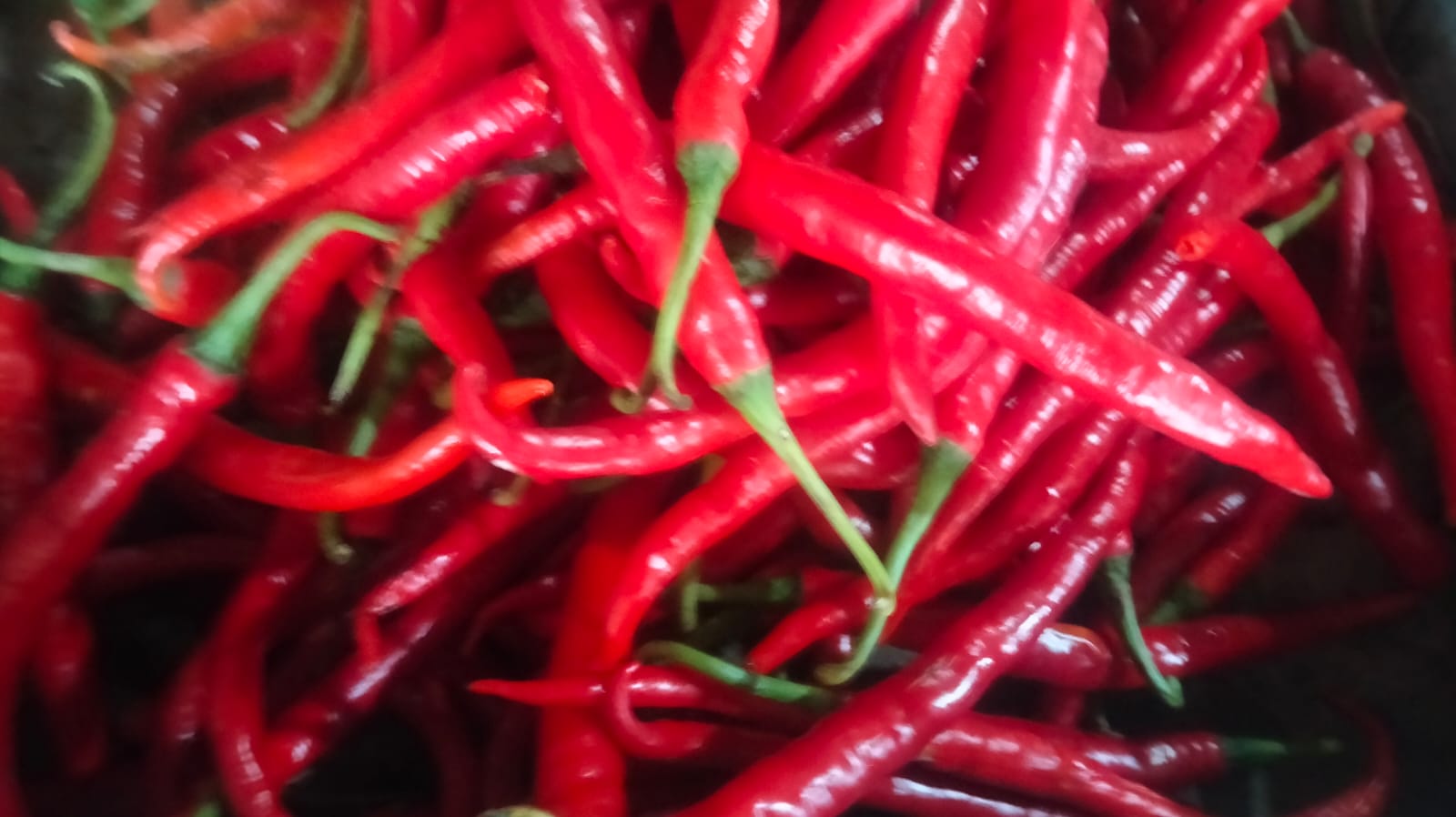 Harga rata-rata sembako di Kabupaten Malang 8 Maret 2025 Stabil, Mayoritas Harga Tidak Banyak Berubah