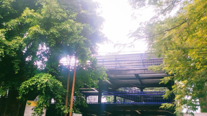 Hari Pertama Operasional, Gedung Parkir Kayutangan Akan Digratiskan