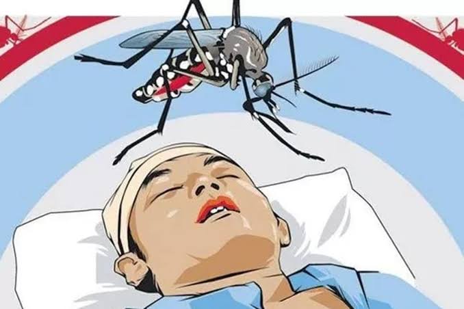 20 Agustus Hari Nyamuk Internasional, Momen untuk Terus Waspada akan Bahaya dari Hewan Kecil Ini 