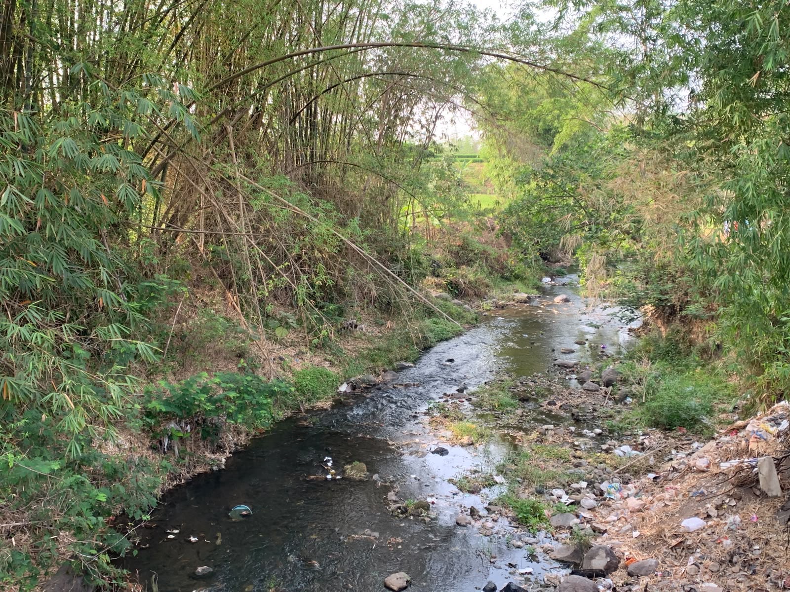 Ketua DPRD Kota Malang Soroti Sampah Pampers di Sungai Metro
