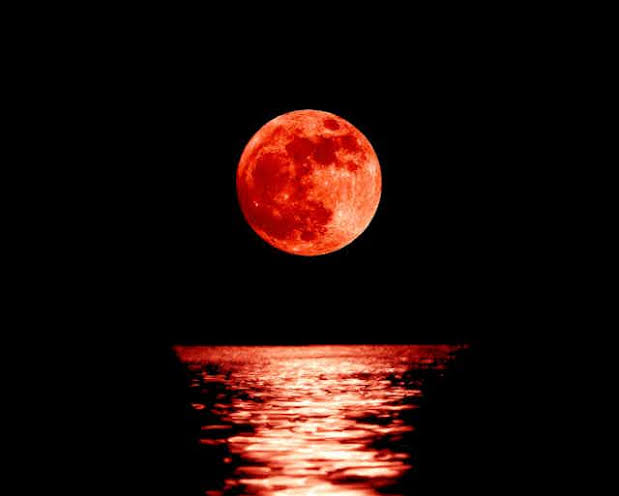 Fenomena Blood Moon, Saat Bulan Tampak Merah Darah. Simak Info Cara Menyaksikan dan Mengabadikannya 