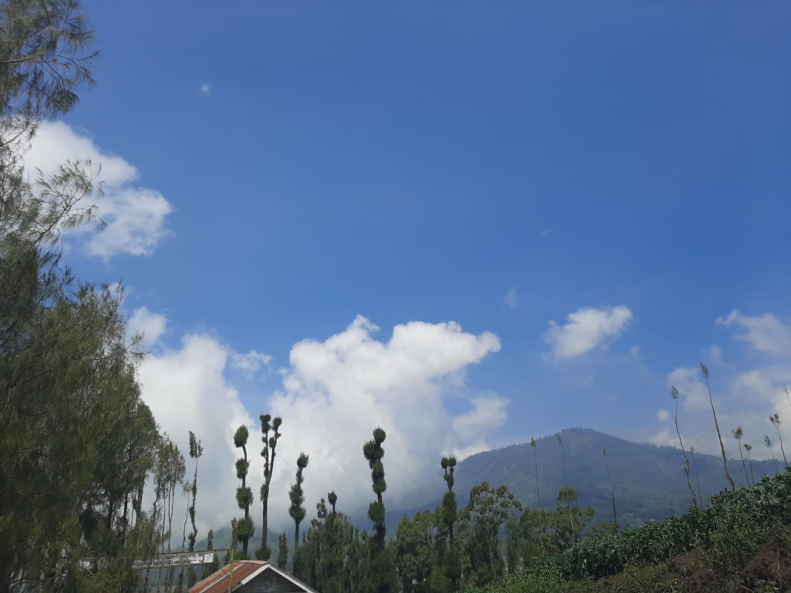 Cuaca Bromo-Tengger-Semeru Hari Ini: Suhu Turun 9°C, Ombak Malang Selatan Capai 2,5 Meter