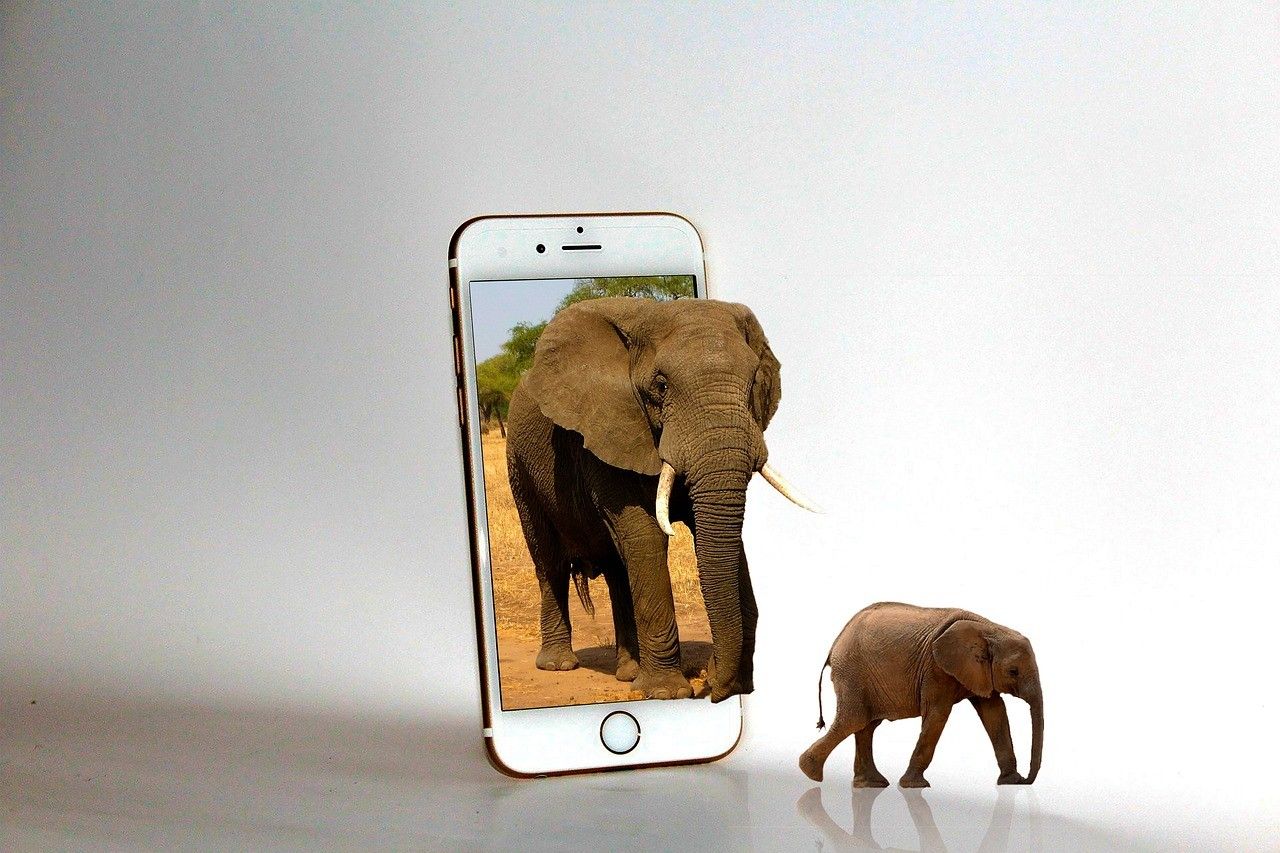 9 Aplikasi yang Dapat Membantu Ibu di Era Digital: Solusi Praktis untuk Kebutuhan Harian