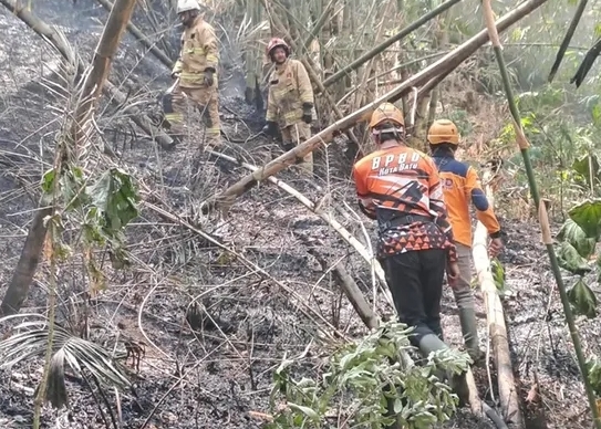 BPBD Kota Batu Ingatkan Bahaya Asap Karhutla, Ini 6 Langkah Melindungi Kesehatan