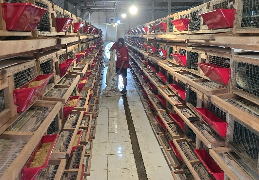 Amankan Aset Riset, FAST UB Kantongi Sertifikat Merek Resmi 'UBfeed' untuk Proteksi Pasar