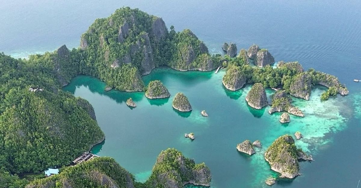 28 Juli Juga Hari Konservasi Alam Sedunia, Kasus Raja Ampat Terus Jadi Sorotan