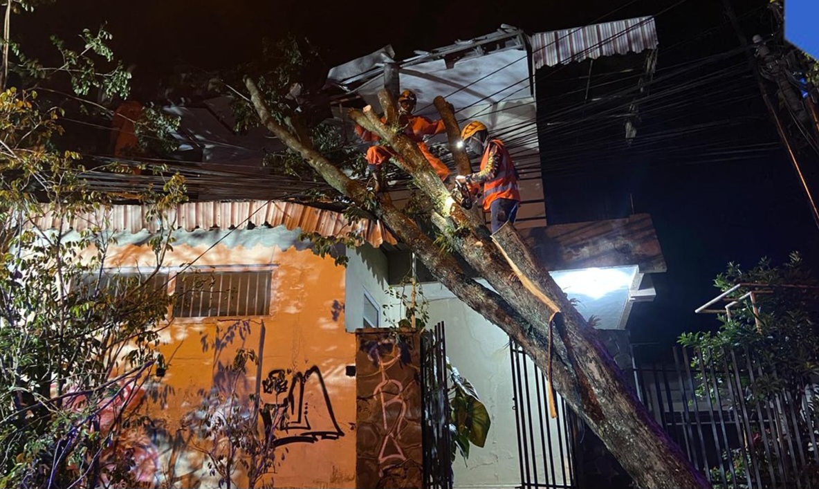 Pohon Sono Kembang Tumbang Timpa Atap Rumah Warga