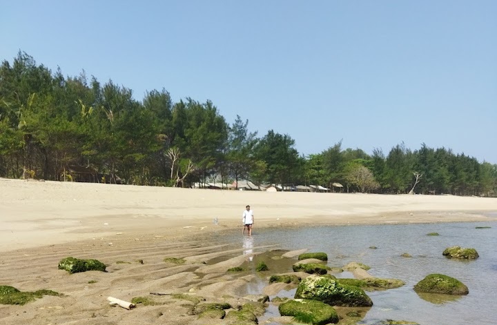 Ini Dia Rute Mudah dan Cepat Menuju Keindahan Pantai Jolangkung dari Kota Malang