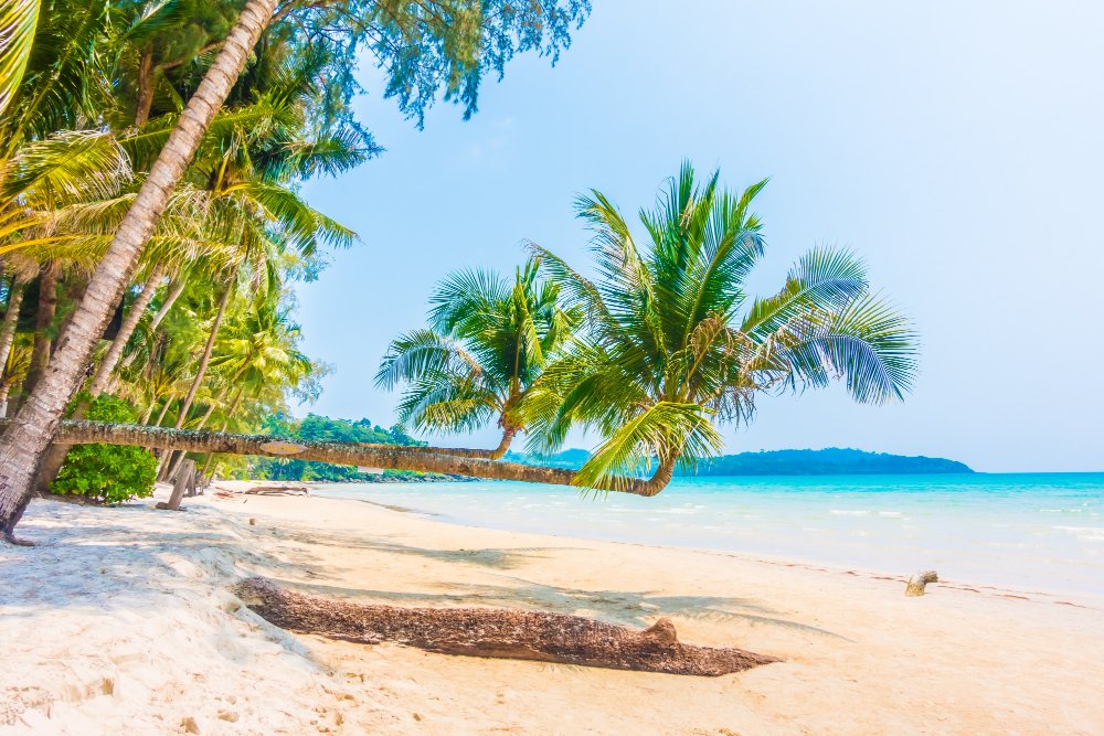 Ini Sembilan Tips Agar Aman Liburan ke Pantai, Nikmati Liburan Seru dengan Tetap Jaga Diri