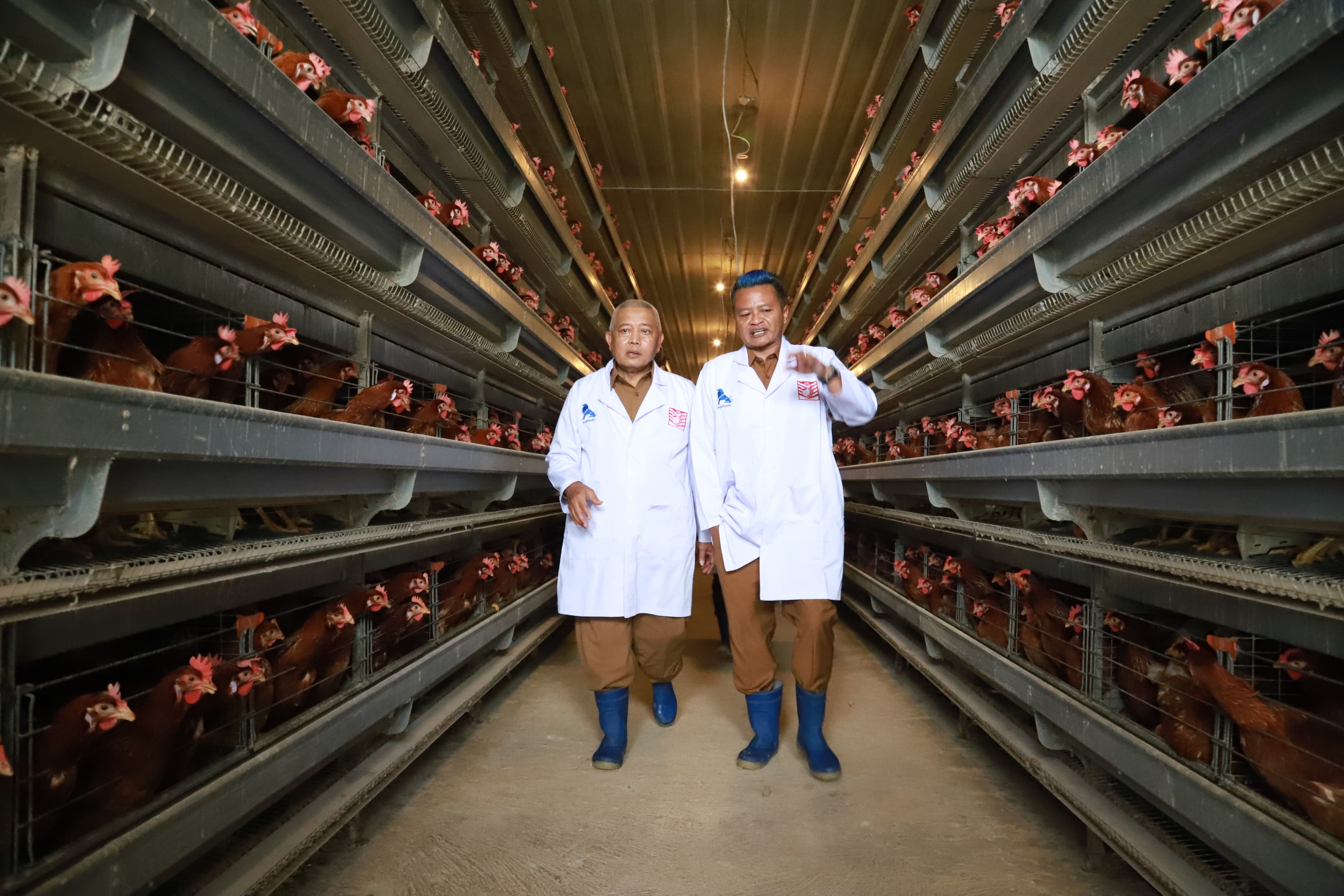 Usai Studi Tebu di Banyuwangi, Bupati Malang Belajar Ternak di Blitar