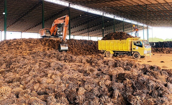 Biomassa dan Masa Depan Kemandirian Energi Indonesia