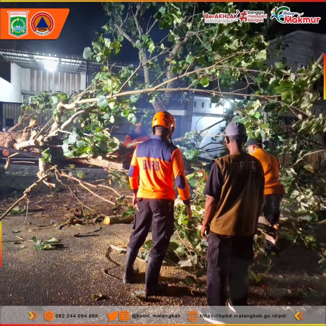 Di Kabupaten Malang, Pohon Tumbang di Dua Tempat, Banjir di Pakis 