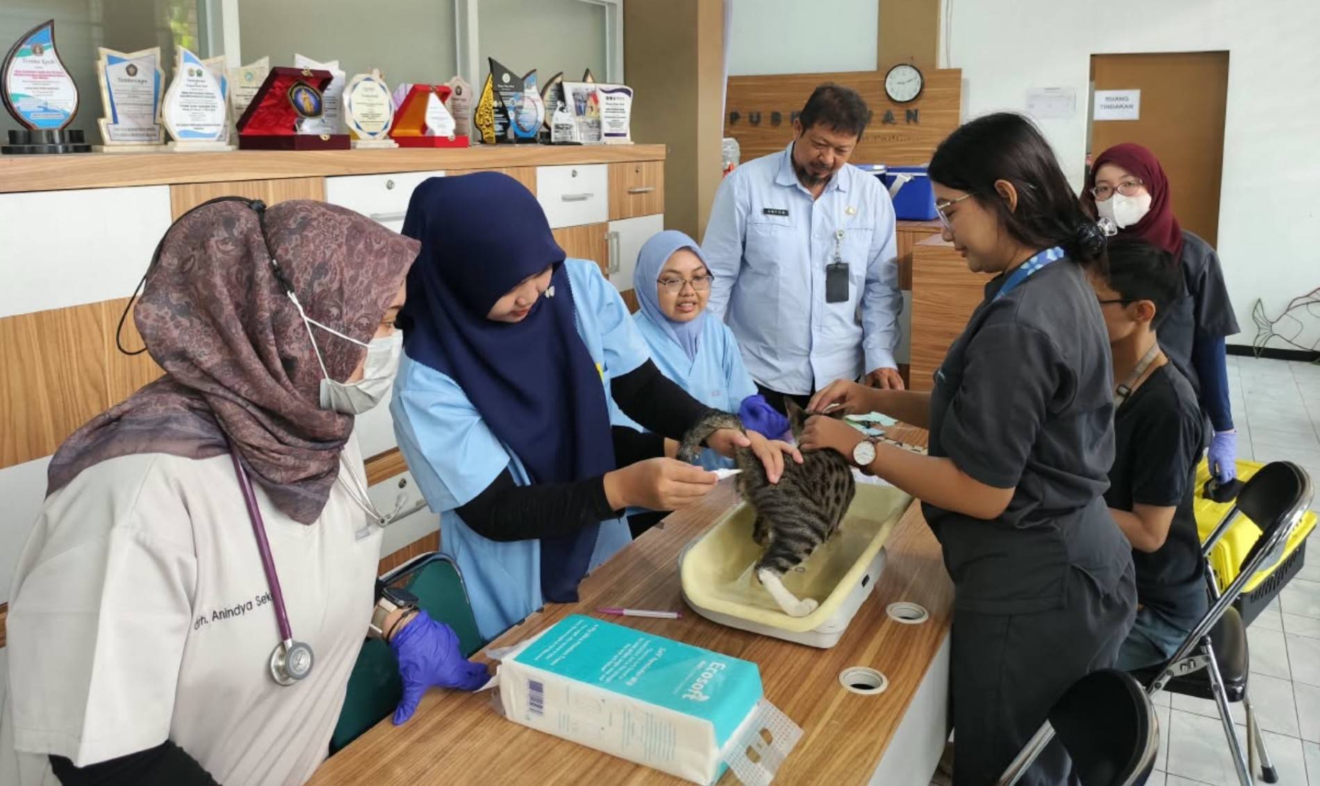 World Rabies Day 2026, FKH UB dan Dispangtan Malang Sterilisasi Lebih dari 50 Kucing