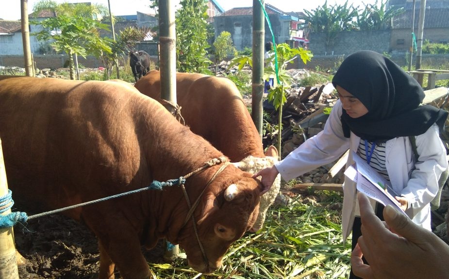 Integrasi One Health: Peran Sentral Dokter Hewan sebagai Garda Depan dalam Mewujudkan Ketahanan Pangan 