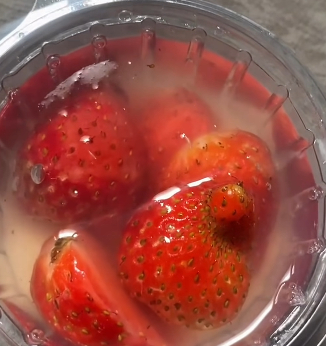 Puding MBG Diduga Berbelatung, Dapur SPPG Tulusrejo 2 Minta Maaf dan Janji Evaluasi Total