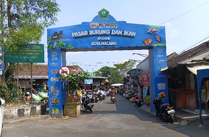 Jejak Historis Pasar Burung Splendid, Oase Satwa di Jantung Kota Malang