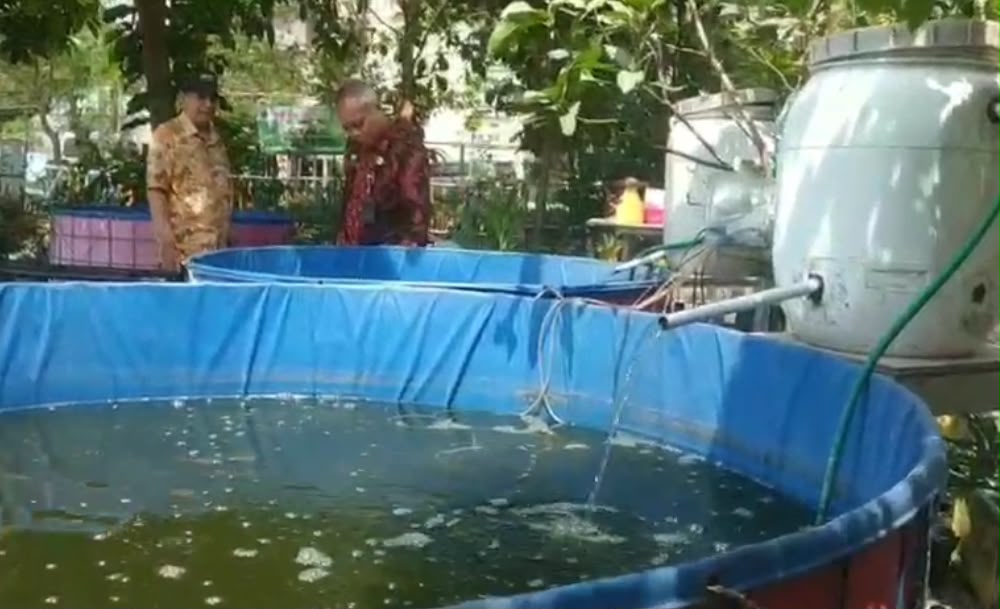 RT Berkelas di Malang Hasilkan Panen Lele, Warga Putar Keuntungan untuk Modal