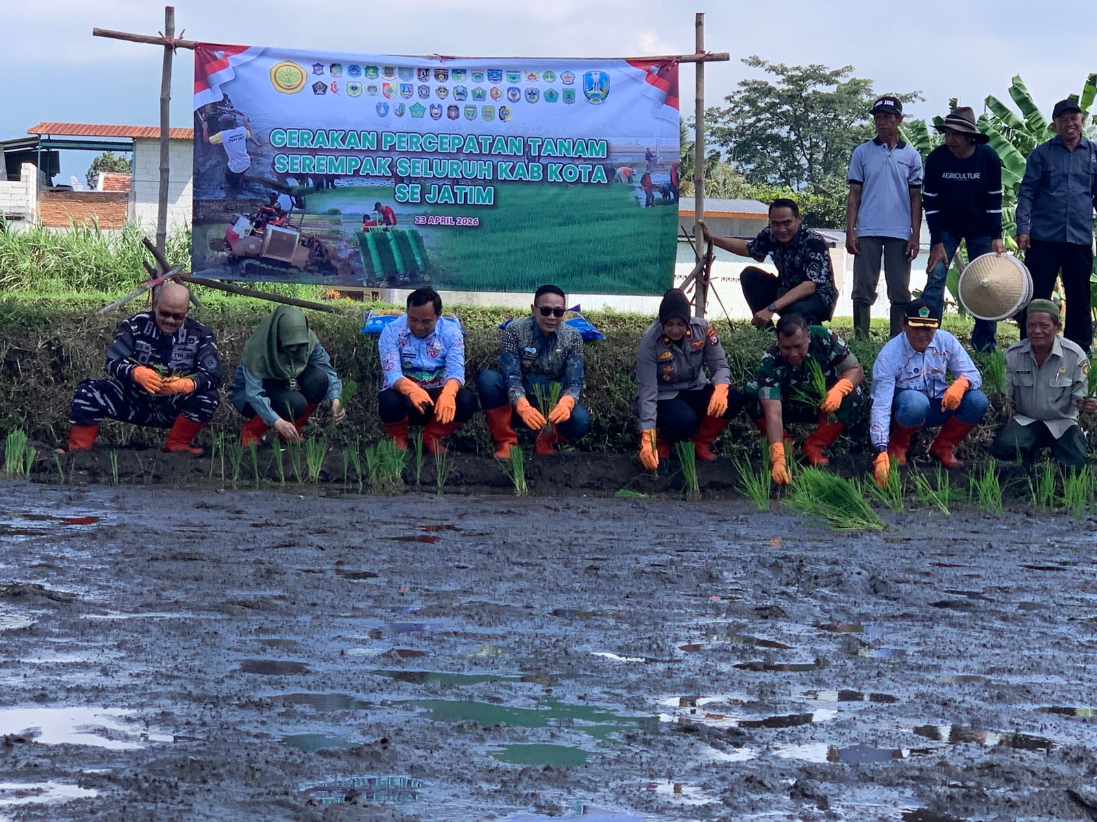 Produksi Padi Digenjot, Pemkot Malang Turunkan 10 Ton Benih untuk Petani