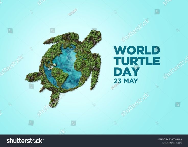 23 Mei Hari Penyu Sedunia,  Yuk Kita Kenali Keunikan dan Peran Vital Hewan Purba Ini dalam Ekosistem Dunia