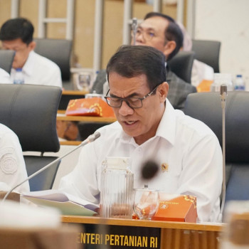 Menurut Menteri Pertanian, Produksi Beras Nasional Catat Rekor Tertinggi