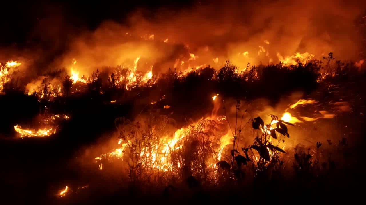 Api Bromo Belum Padam, Luas Kebakaran Capai 196 Hektare, 3 Helikopter Dikerahkan