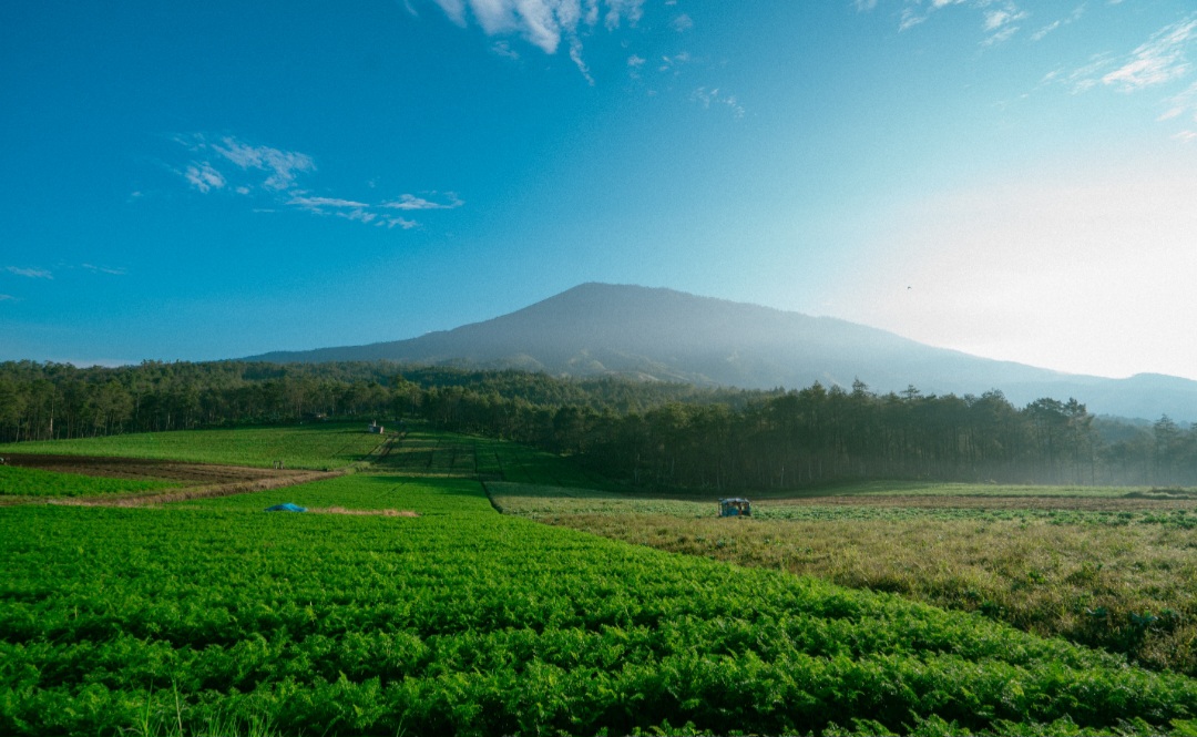 Bukit Jengkoang, Disebut sebagai Tempat Sempurna bagi Pelarian Jiwa 