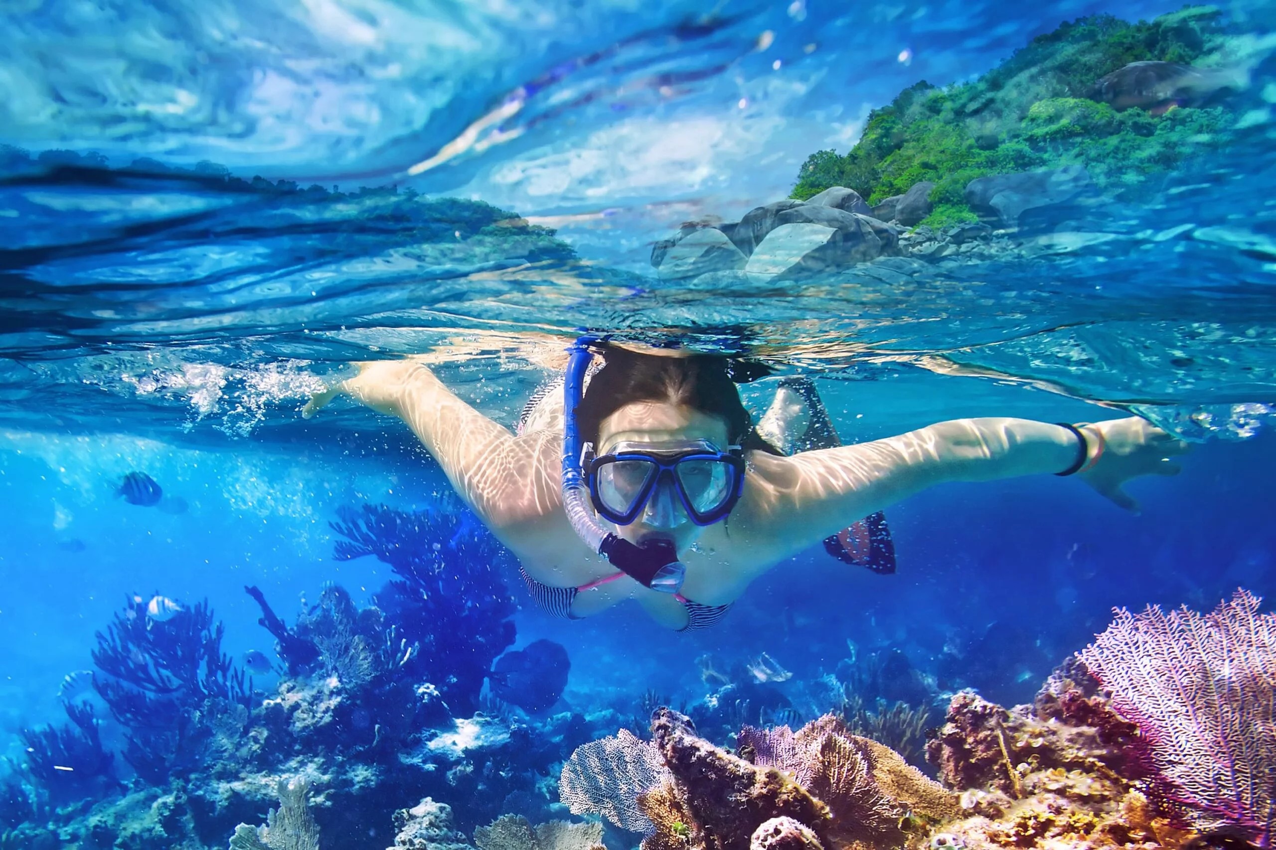 Momen Hari Wisata, Kenali 9 Lokasi Snorkeling Kelas Dunia di Indonesia, Dari Raja Ampat hingga Karimunjawa