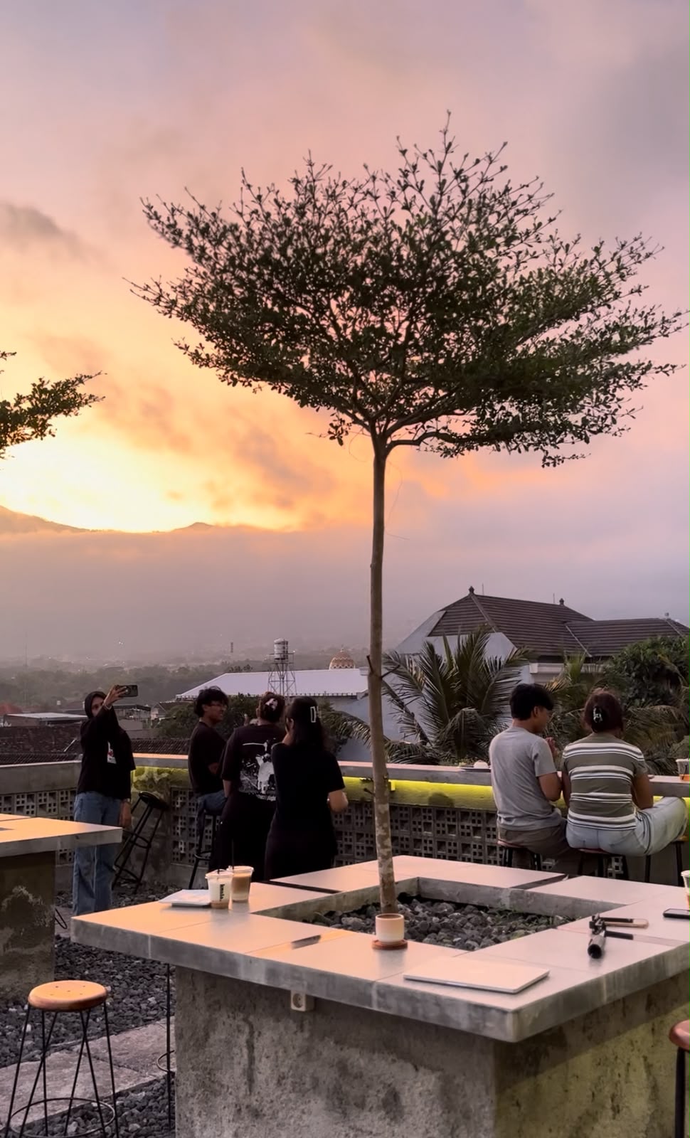 Nongkrong di Atas Awan! Koala Coffee & Space Batu Tawarkan View Arjuno dan Semeru