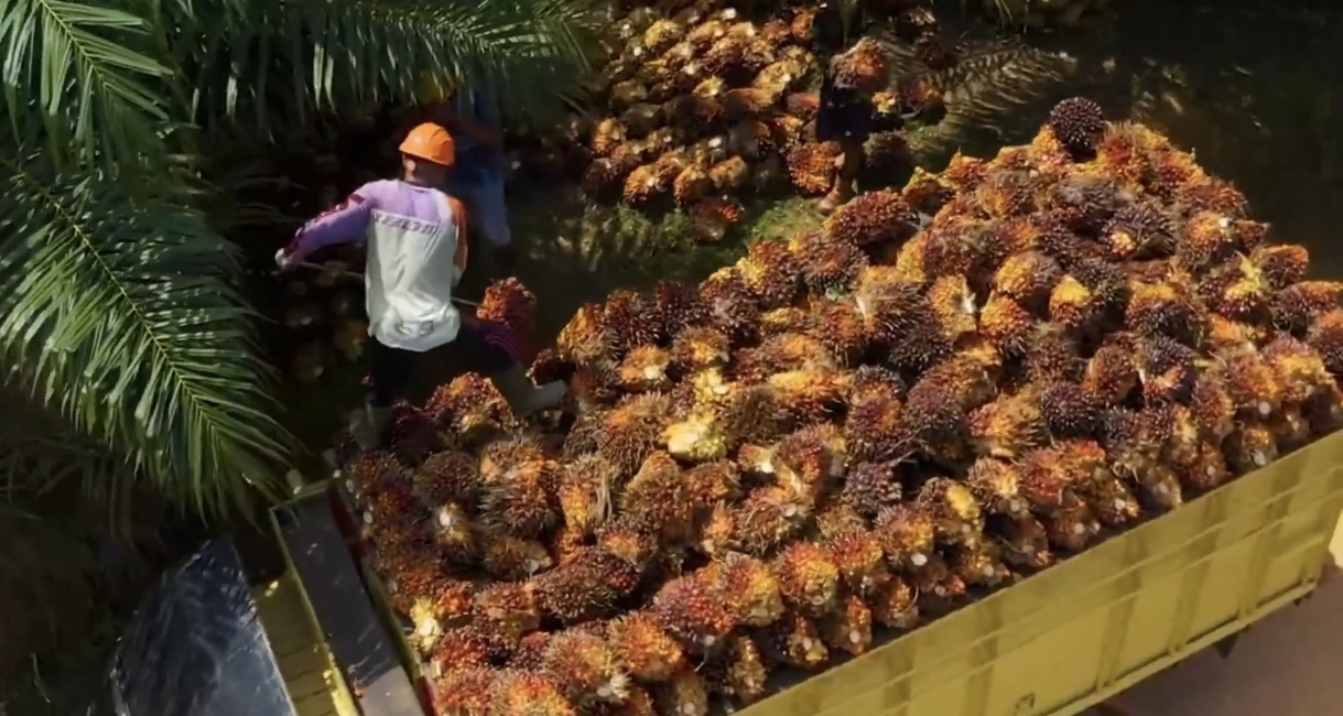 B50 Setop Impor Solar, Pemerintah Bidik Hemat Devisa Rp170 Triliun