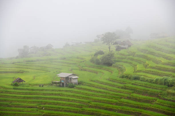Cuaca Malang Raya 13 November 2025: Kabut Pagi dan Hujan Ringan Menyelimuti Pegunungan