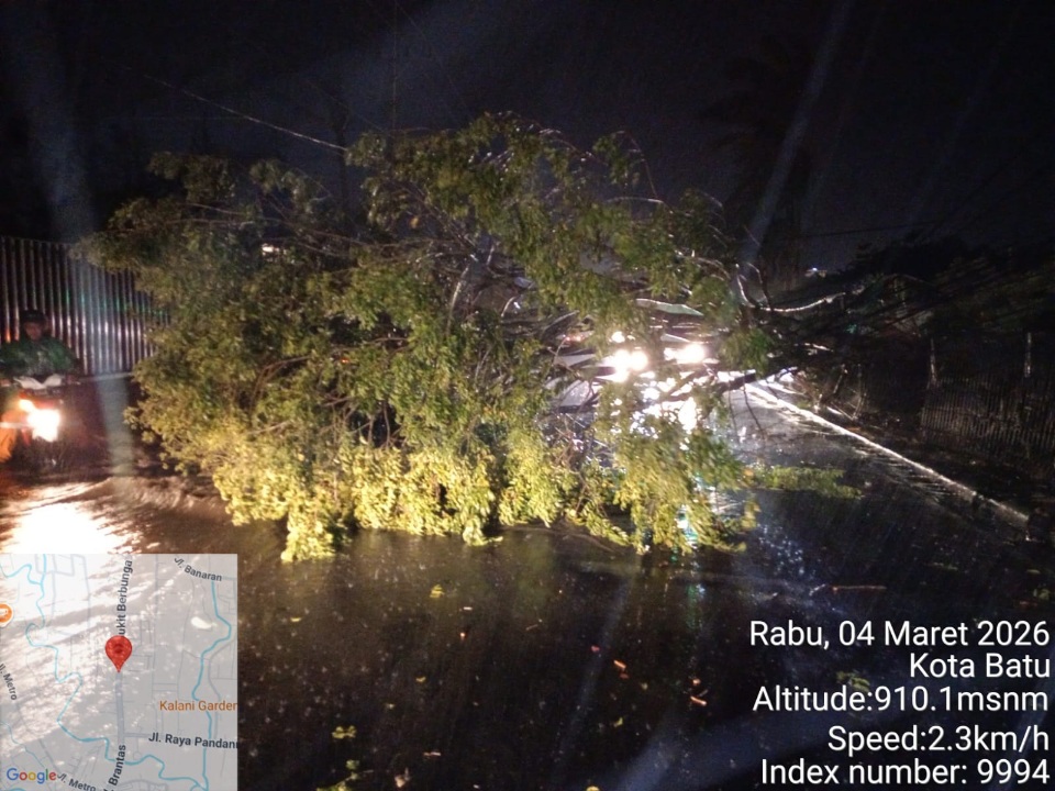 Hujan Deras Disertai Angin Kencang 40 Menit di Kota Batu, Puluhan Pohon Tumbang 