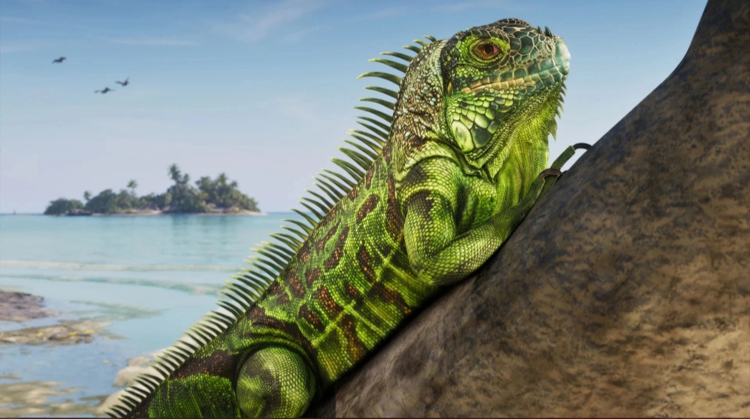 GTA 6 Ungkap 30 Screenshot Baru, Detail Iguana Bikin Penggemar Terpukau