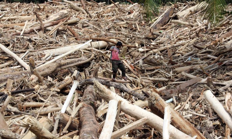 Banjir Bandang Bawa Kayu Gelondongan, Menhut Cabut 22 Izin Pemanfaatan Hutan Nasional, Total 1 Juta Hektare 