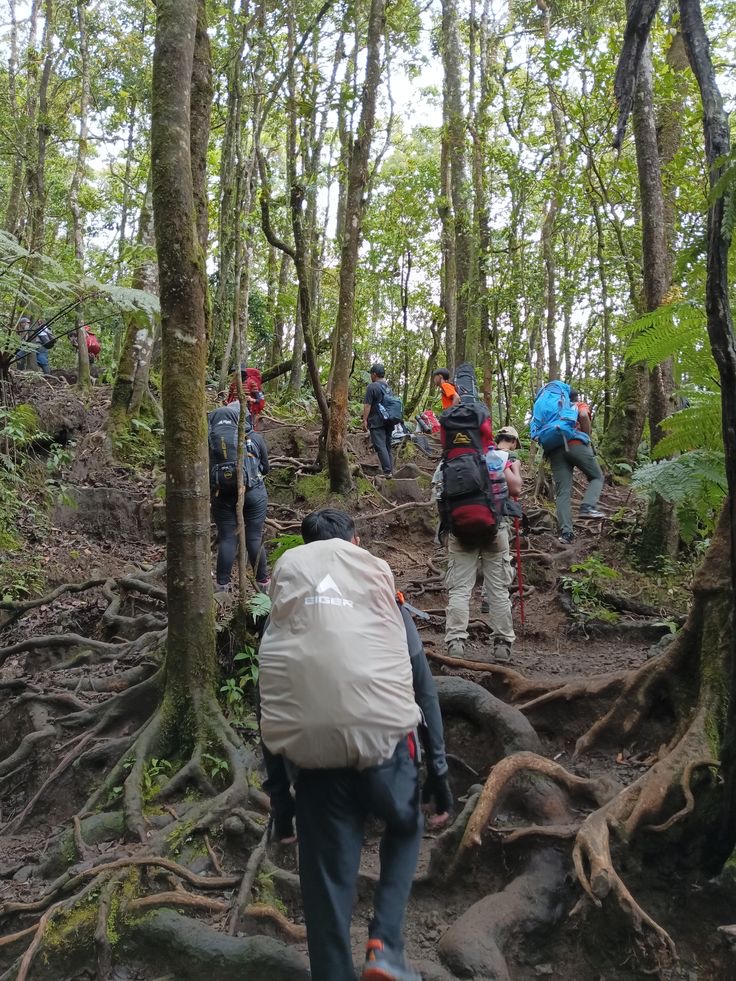 Baru Mau Mendaki Gunung? Ini 9 Tips Penting untuk Pendaki Pemula agar Aman dan Nyaman