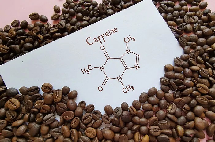 Ngopi dengan Sains. Fakta Menarik tentang Kafein dan Konsentrasi