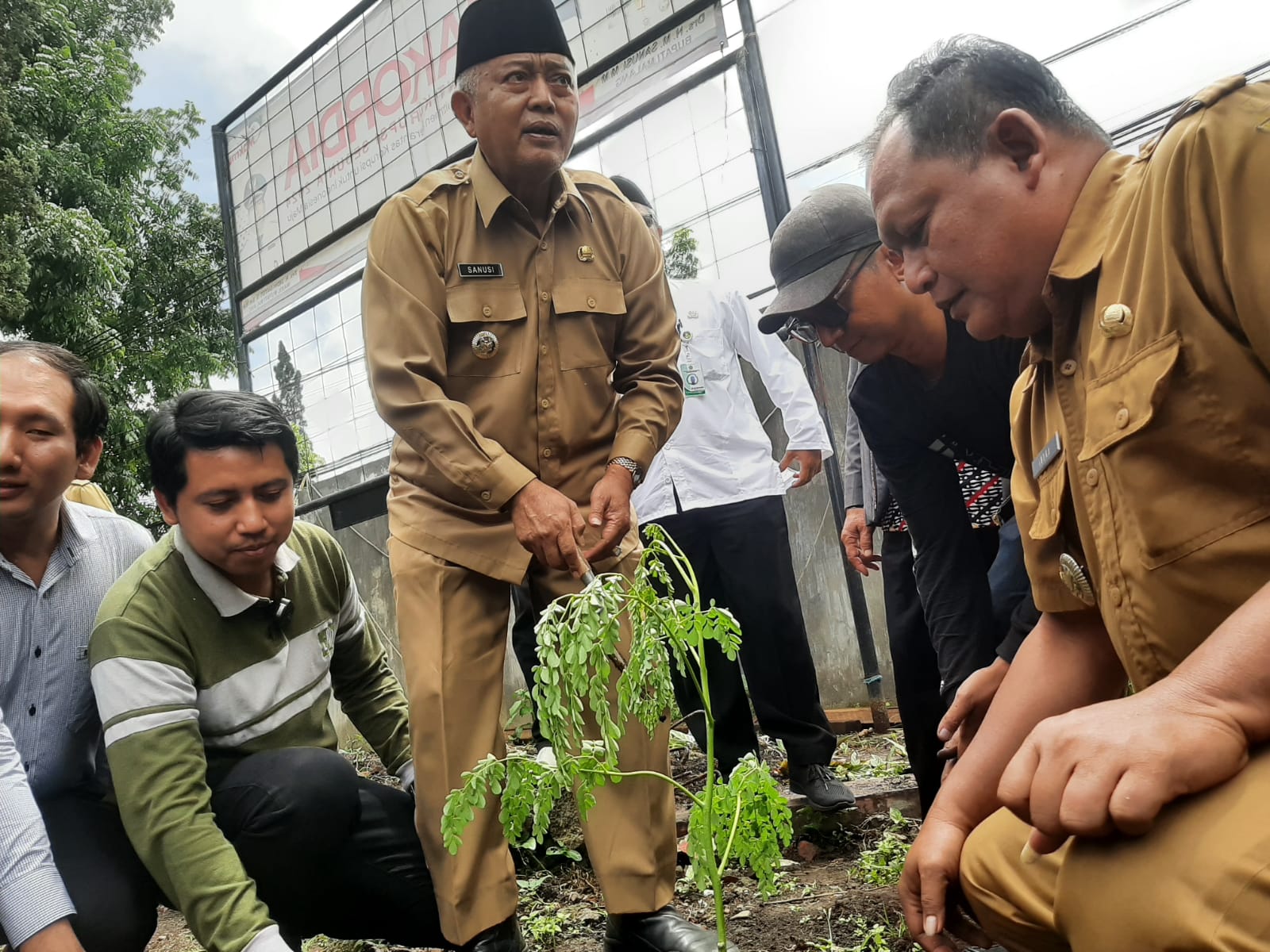 Pemkab Malang Giatkan Kelorisasi untuk Cegah Stunting sekaligus Atasi Dampak Perubahan Iklim