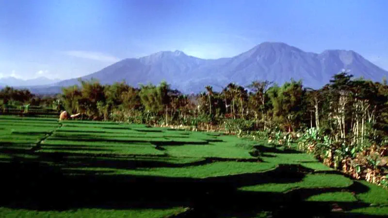 Cuaca Gunung di Malang 22 September: Kawi 8 Derajat, Perairan Selatan Gelombang 2,5 Meter