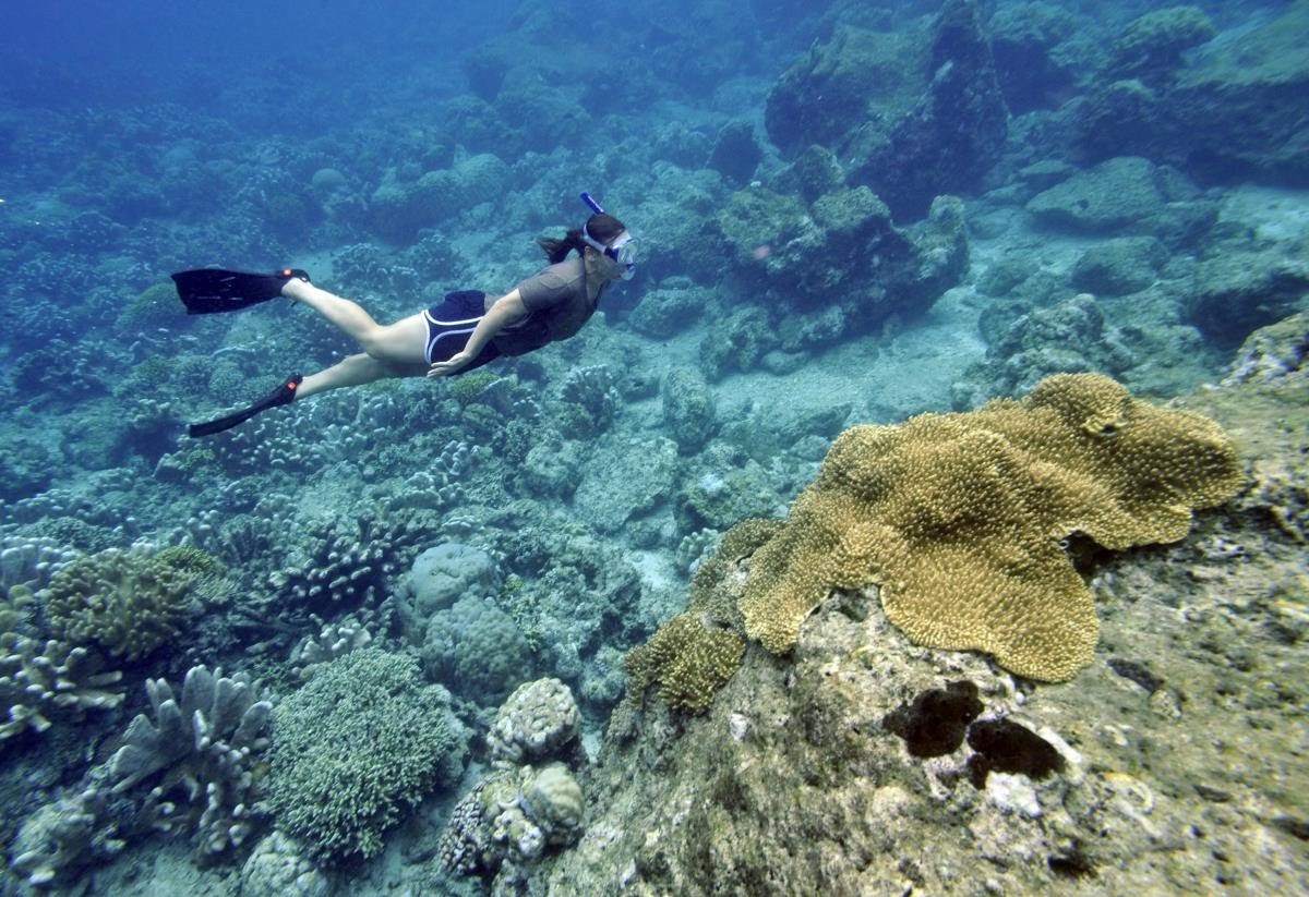 9 Cara Ikut Merayakan Hari Kelautan dengan Aksi Nyata