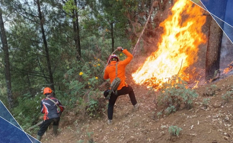 Diduga Akibat Sisa Pembakaran Serasah Ditinggalkan Warga, Hutan Terbakar